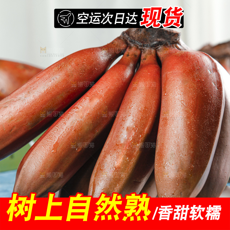 蓝底上摆放着红皮美人蕉