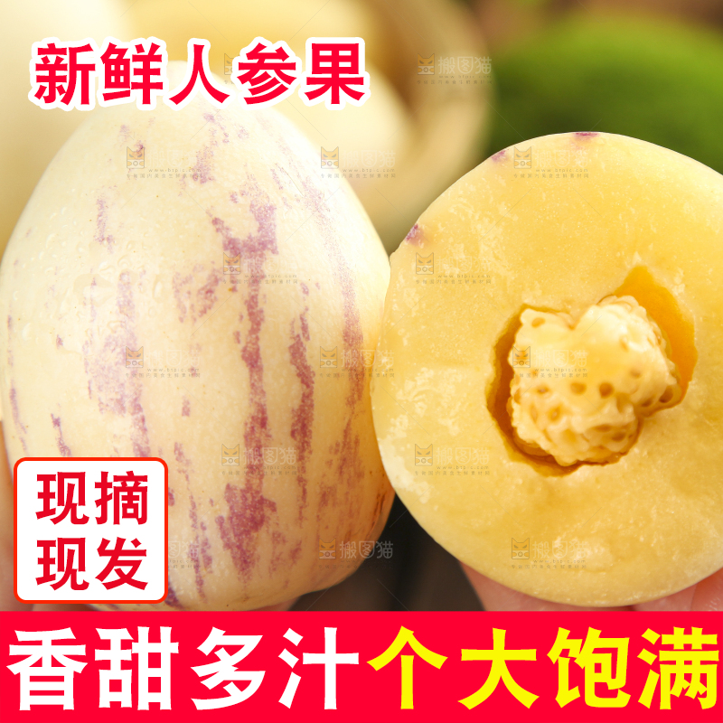 手里拿着人参圆果