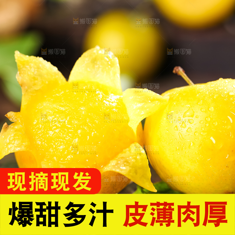 石板上的黄金李子