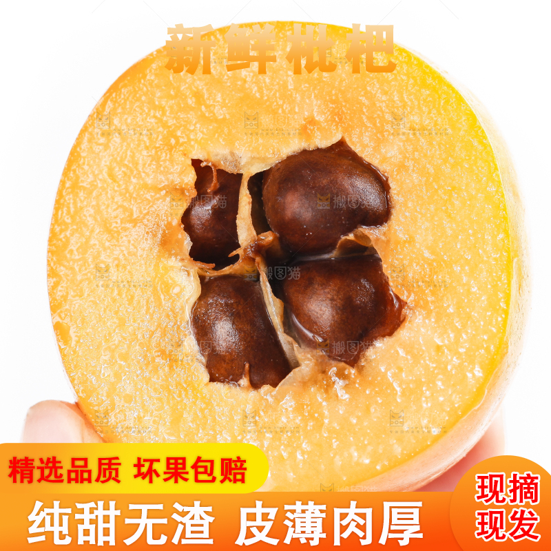 手里拿着枇杷果