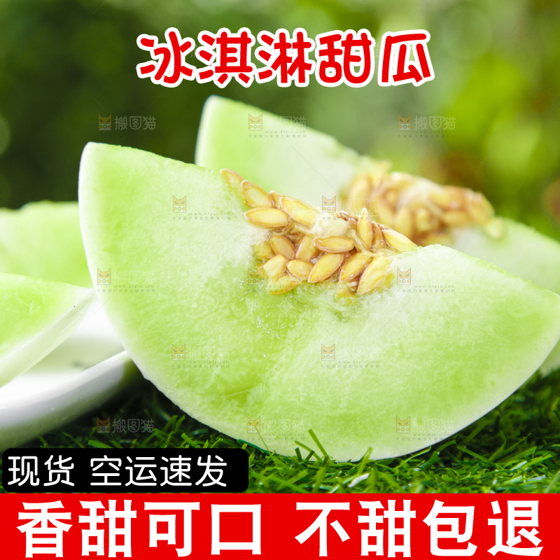 绿草地上摆放着玉菇甜瓜