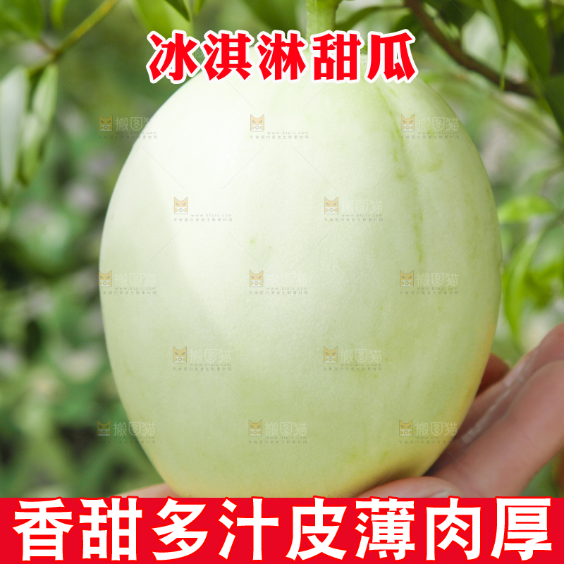 手里拿着玉菇香瓜