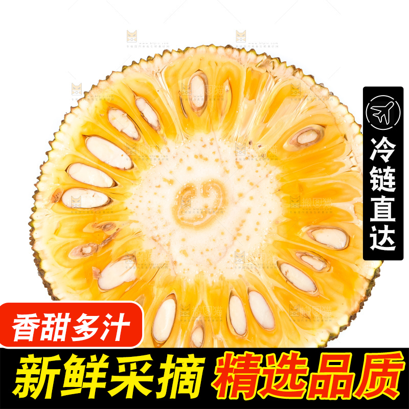 白底上的越南菠萝蜜