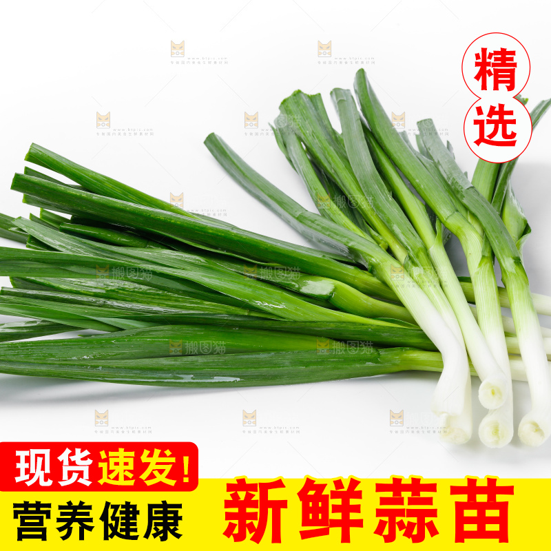 白底上的新鲜蒜苗