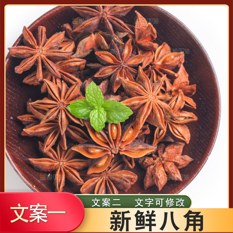 广西八角放在白底上