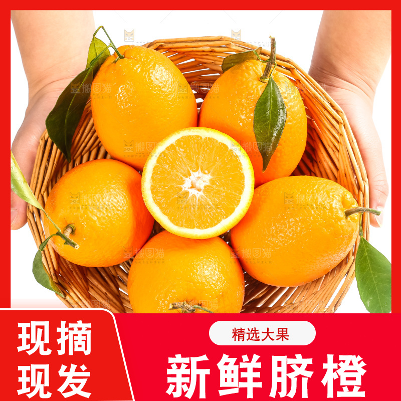 篮子里装着奉节脐橙