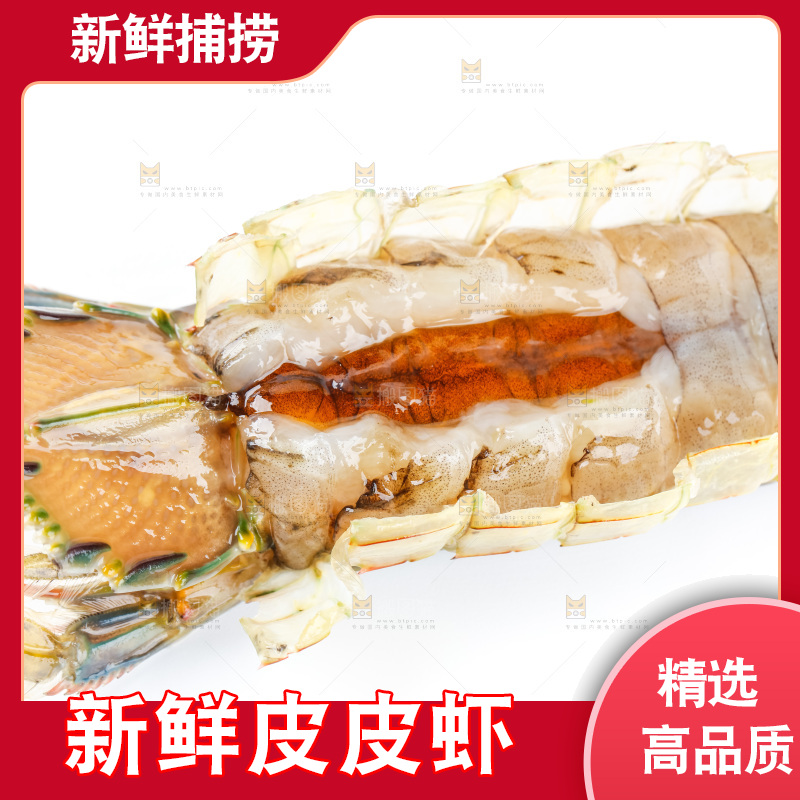 白底上的濑尿虾