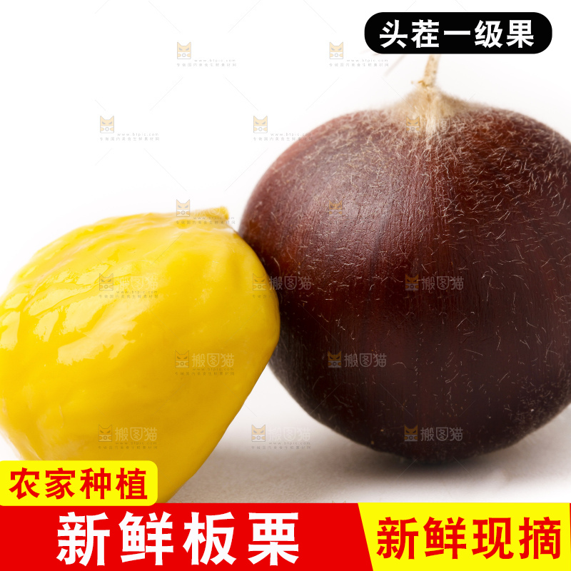 白底上的新鲜板栗