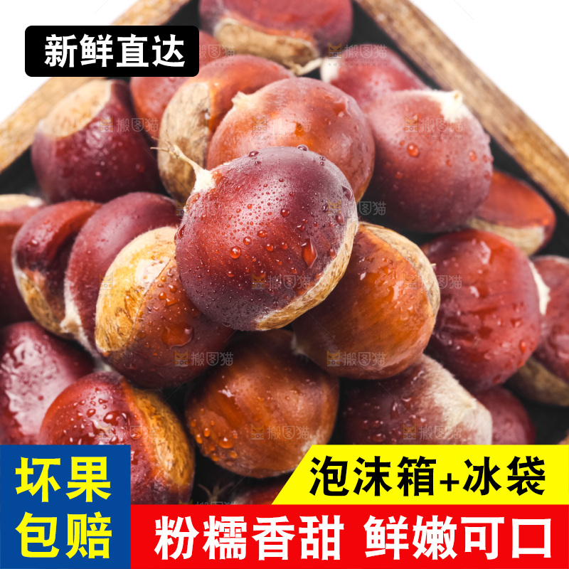 浅底上的板栗