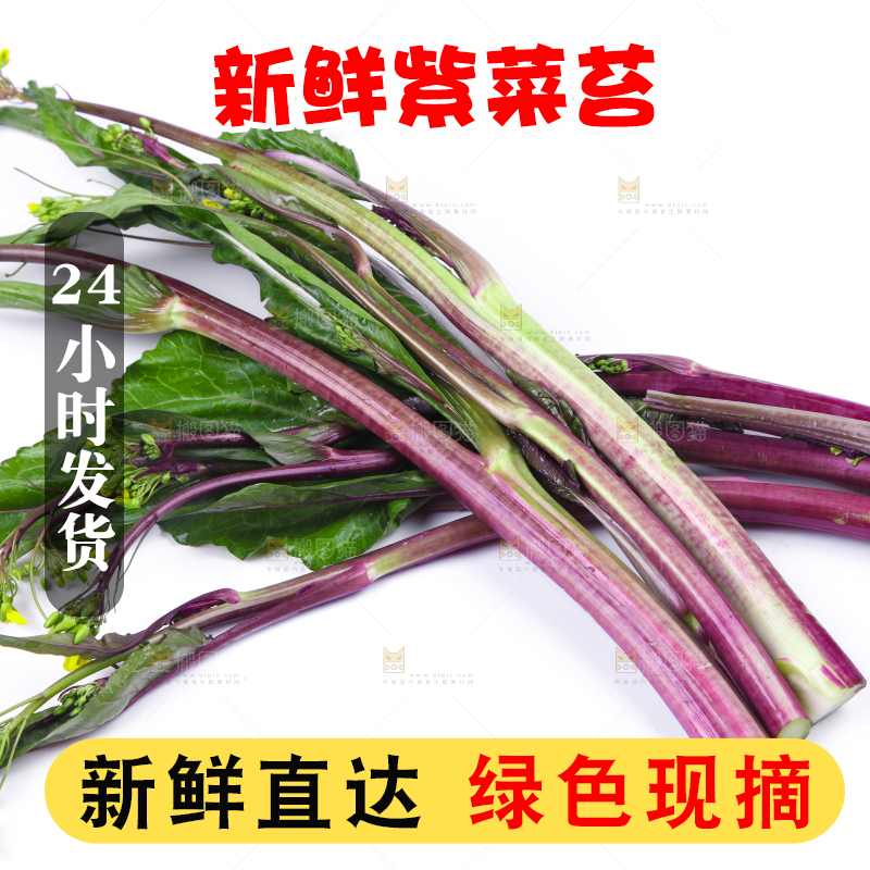 白底上放着紫菜苔