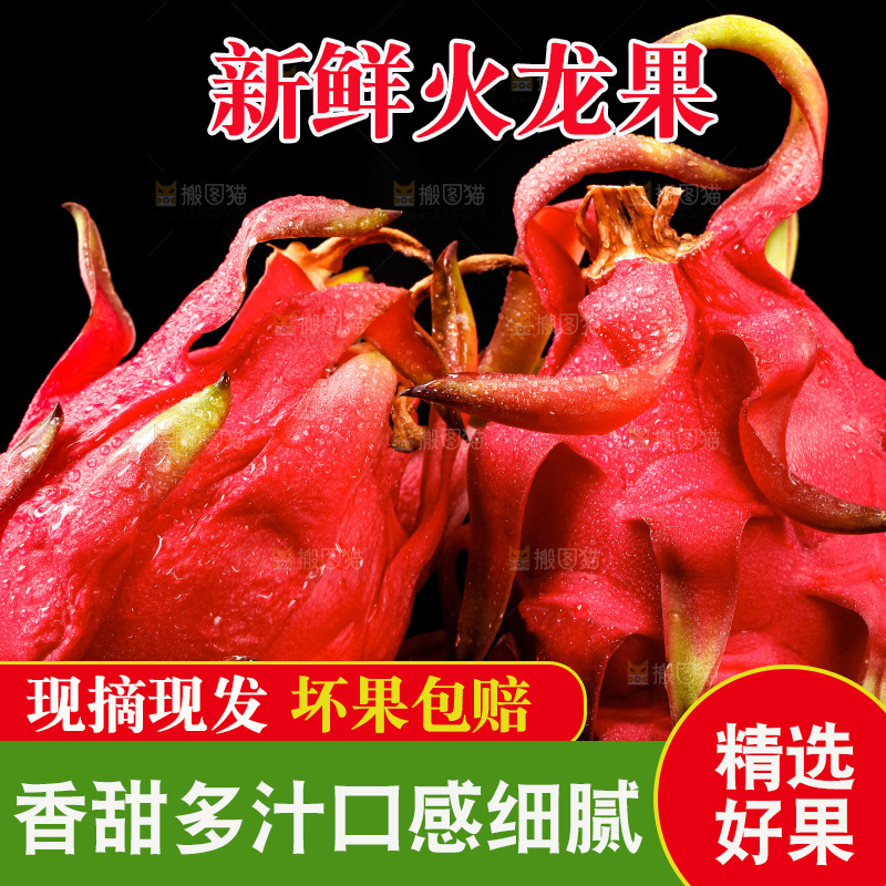 黑底上的火龙果