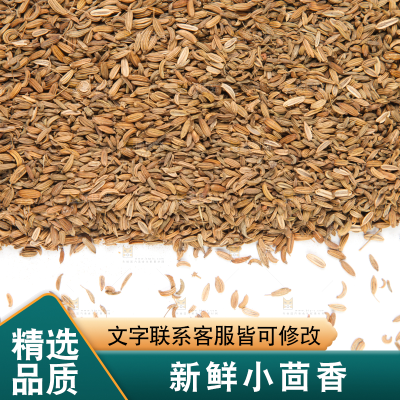 白底上一堆小茴香