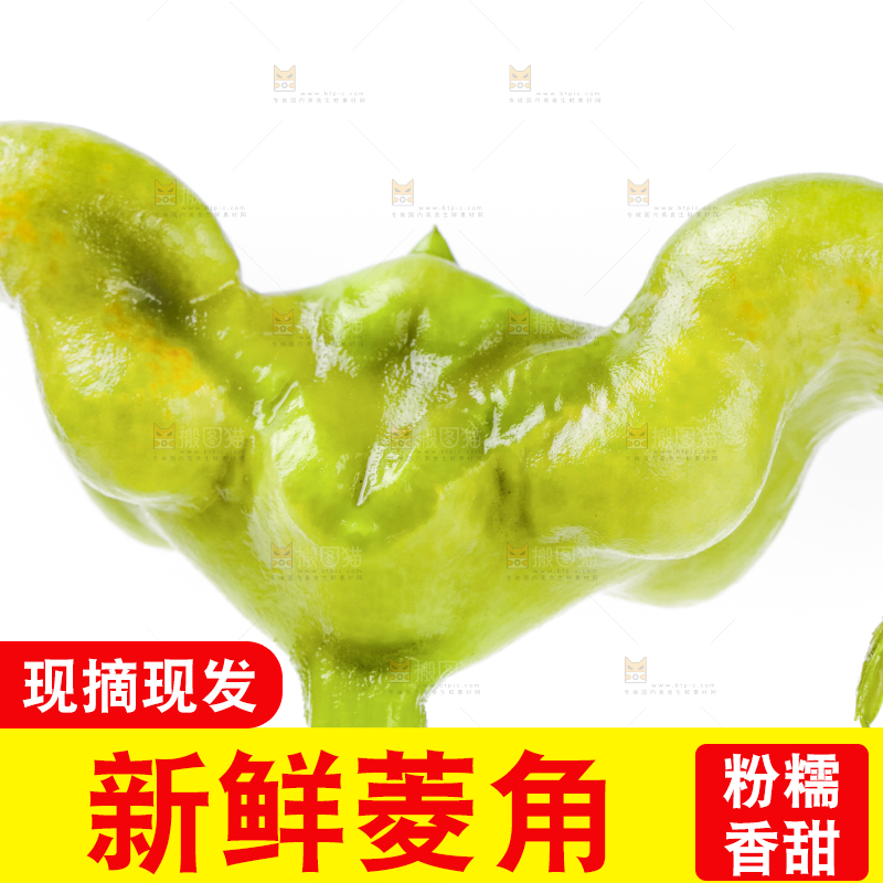 浅底上的新鲜菱角
