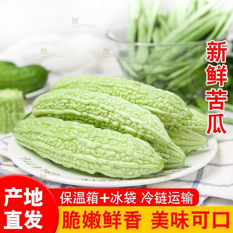 浅底上的苦瓜