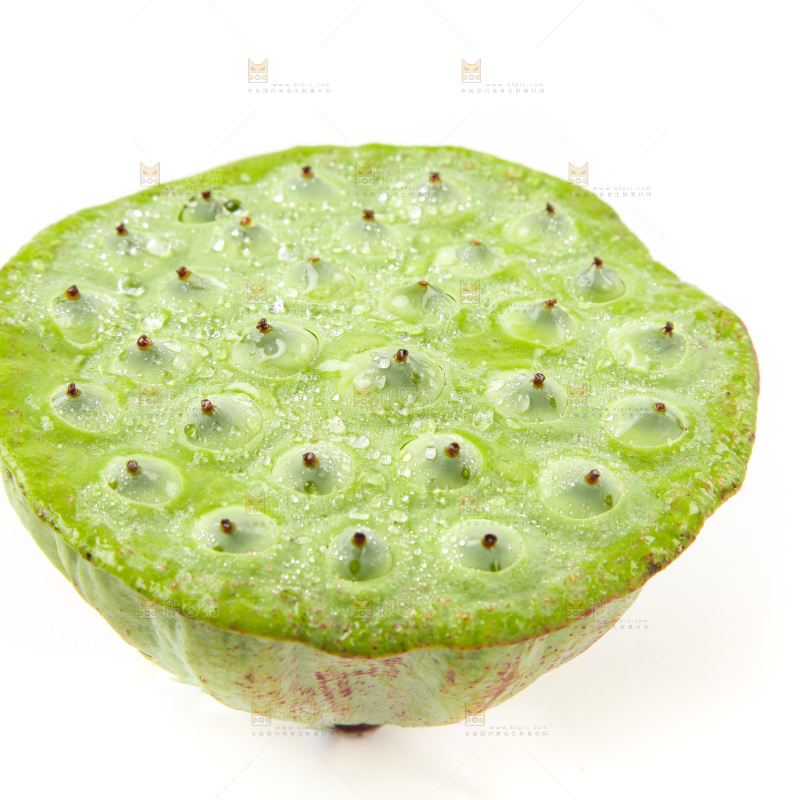 白底上的莲蓬