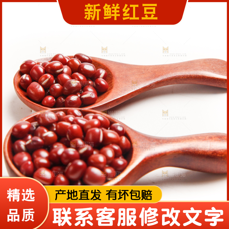 勺子里装着东北红豆