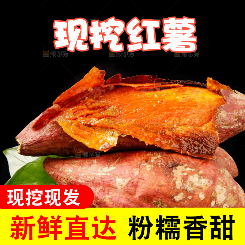 黑底上的烟薯25号