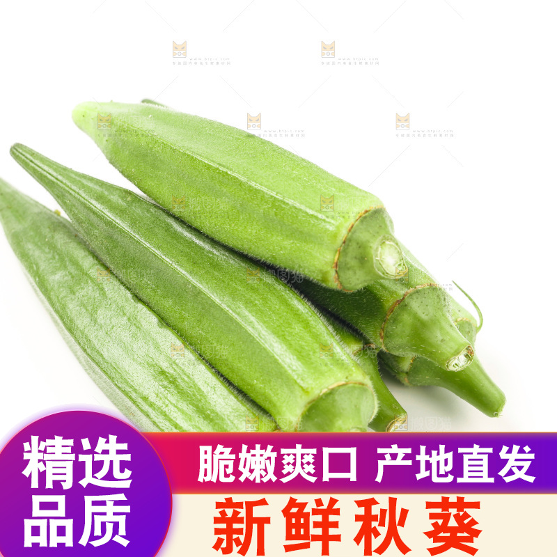 白底上的新鲜秋葵