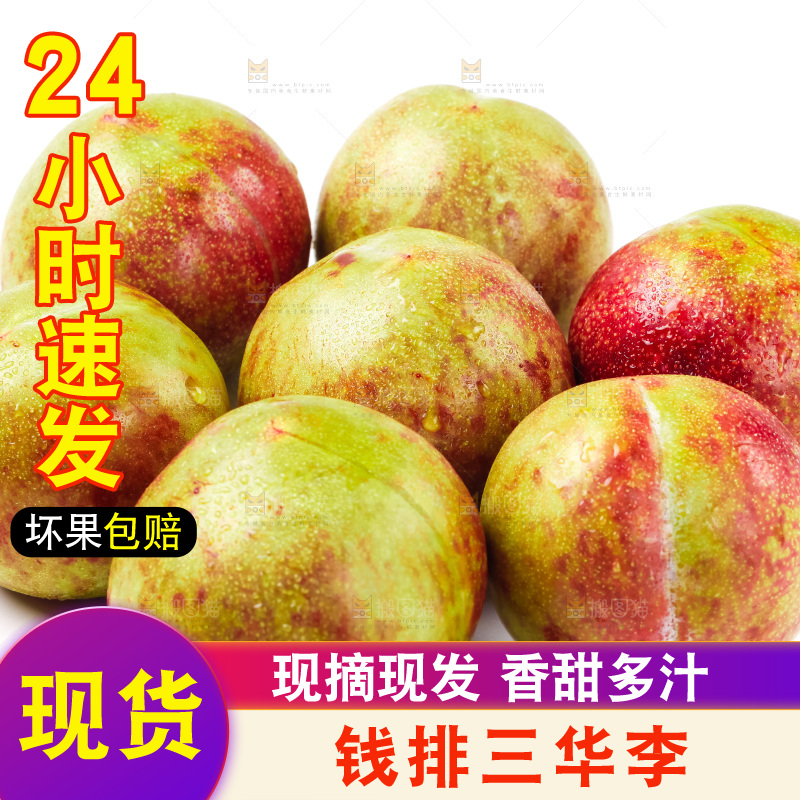 白底上的三华李
