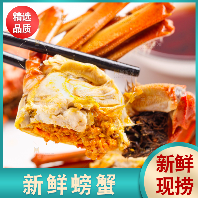 筷子上夹着清蒸螃蟹