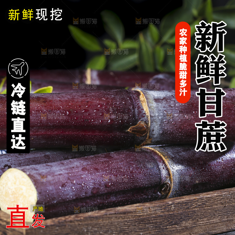 深底上的广西黑皮甘蔗