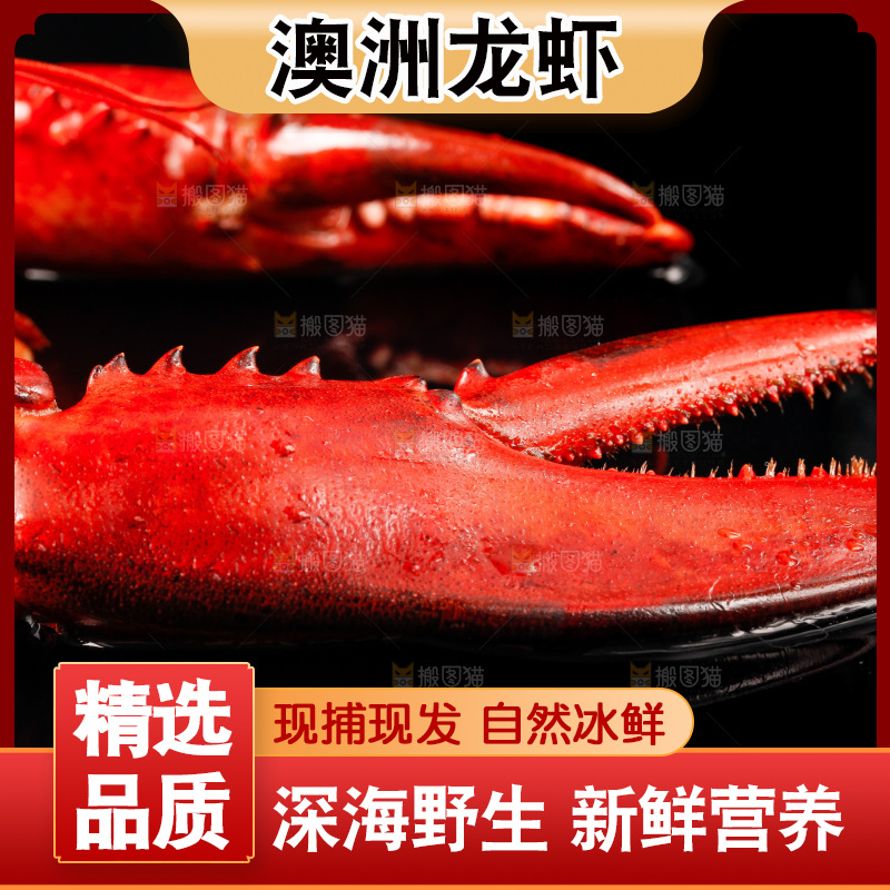 黑底上放着波士顿龙虾