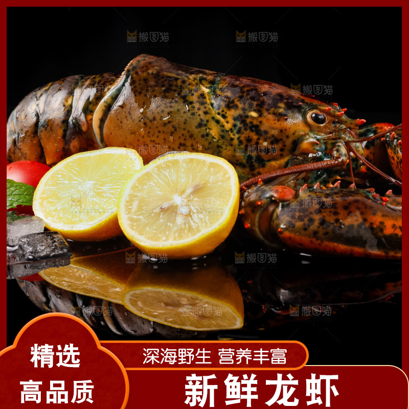 黑底上放着波士顿龙虾