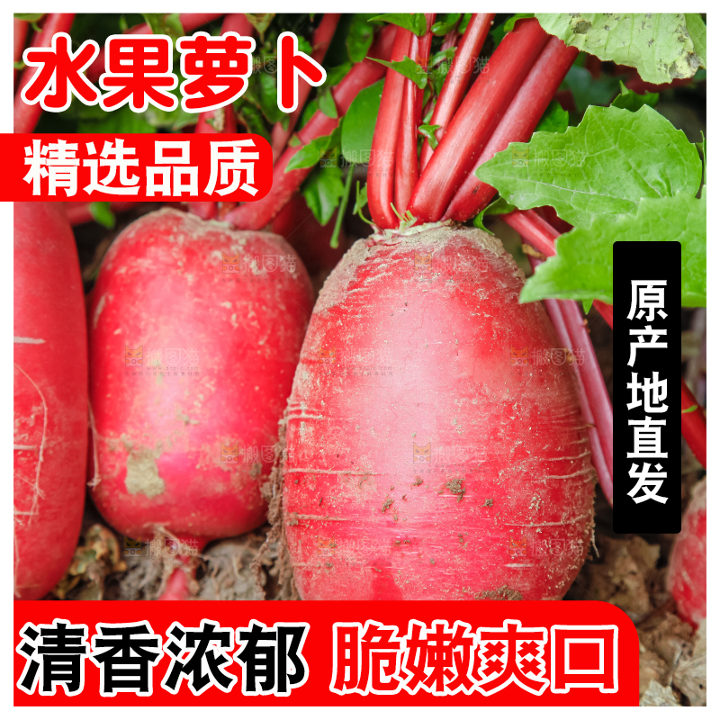 地里长着红萝卜