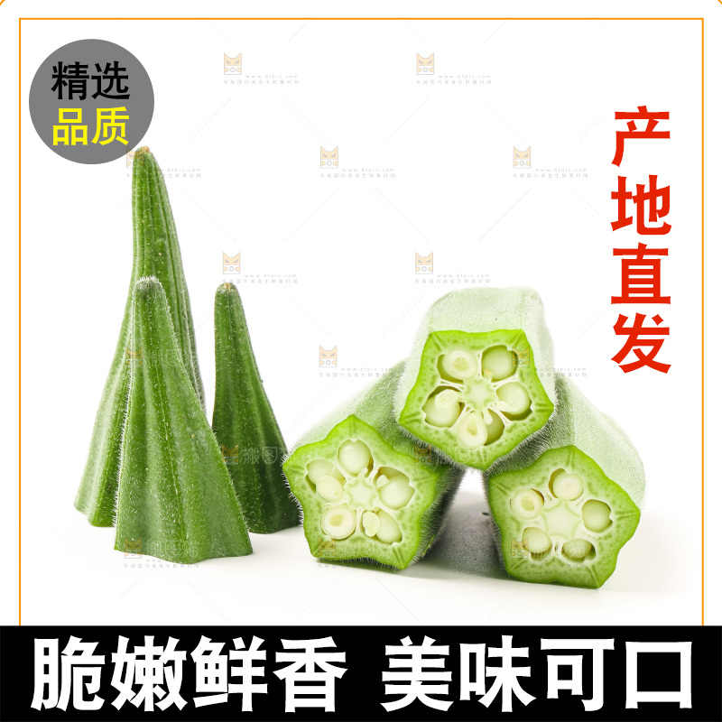 新鲜的羊角豆放在白底上