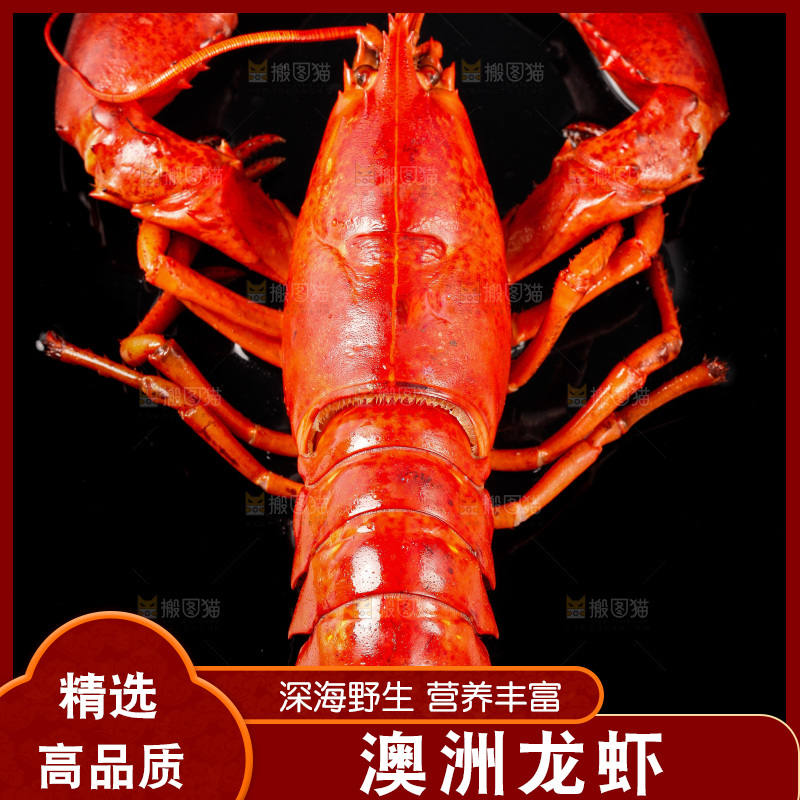 黑底上放着波士顿龙虾