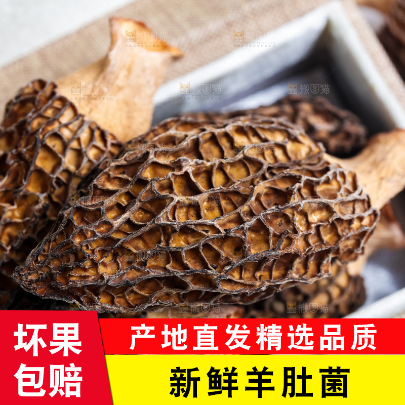 箱子里装着云南羊肚菌