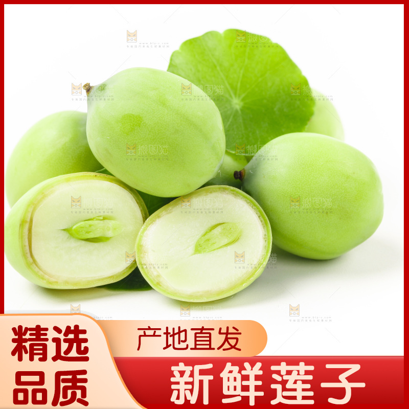 白底上放着湖北新鲜嫩莲子