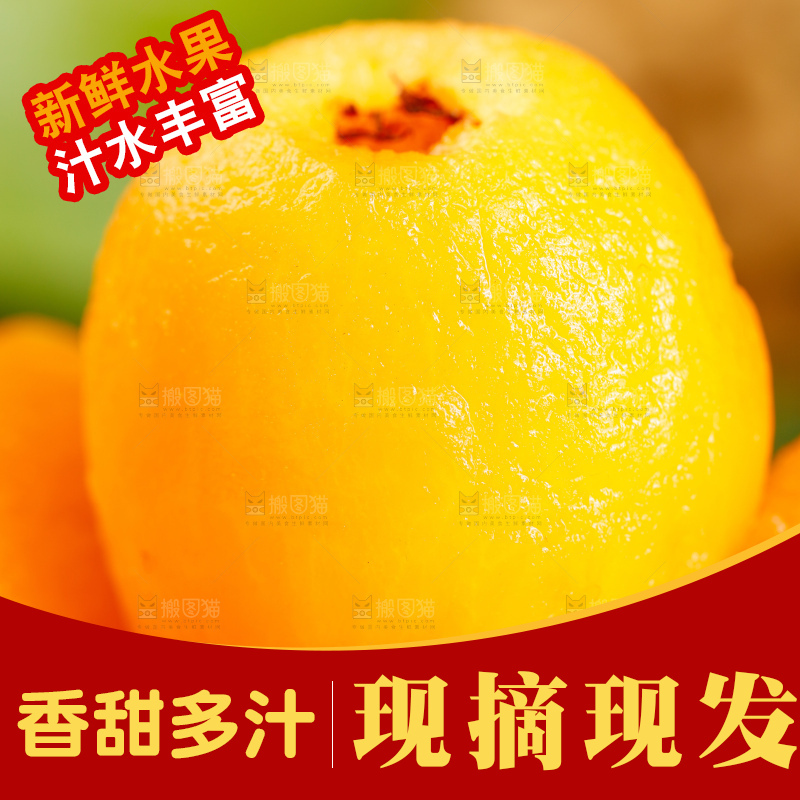 深底上的米易枇杷