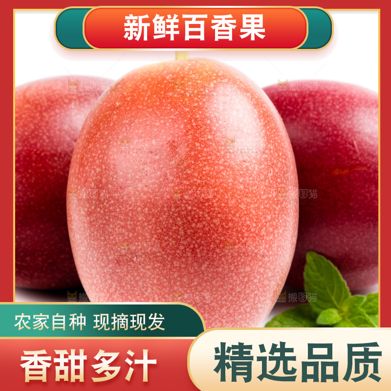 紫皮百香果放在白底上
