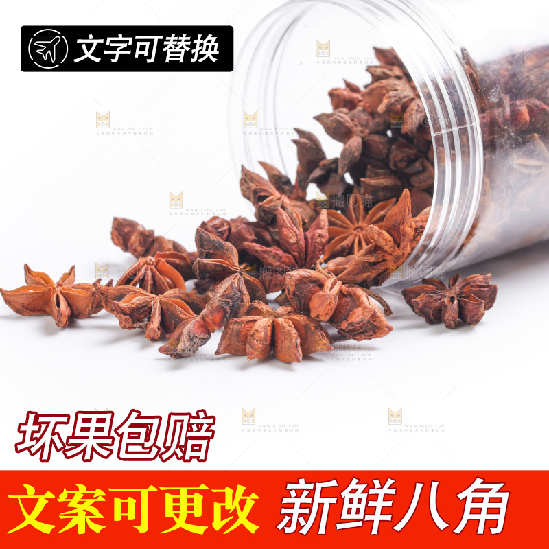 广西八角放在白底上