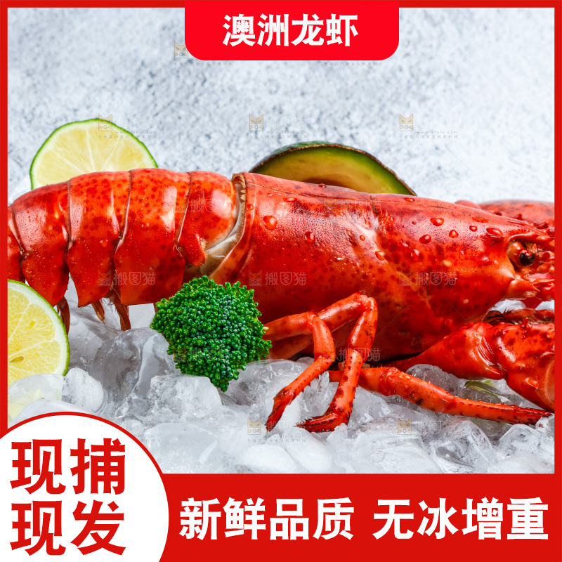 石板上的波士顿大龙虾