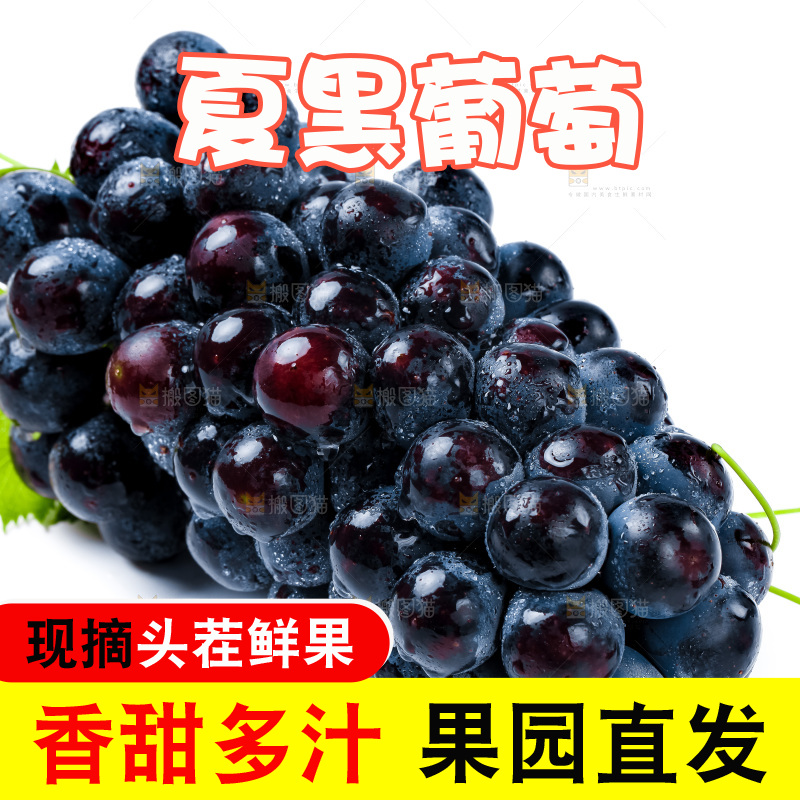 白底上的夏黑葡萄