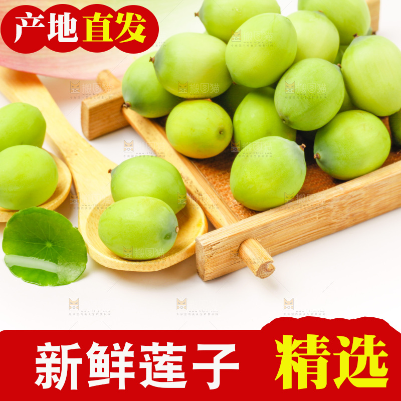 白底上放着嫩莲子