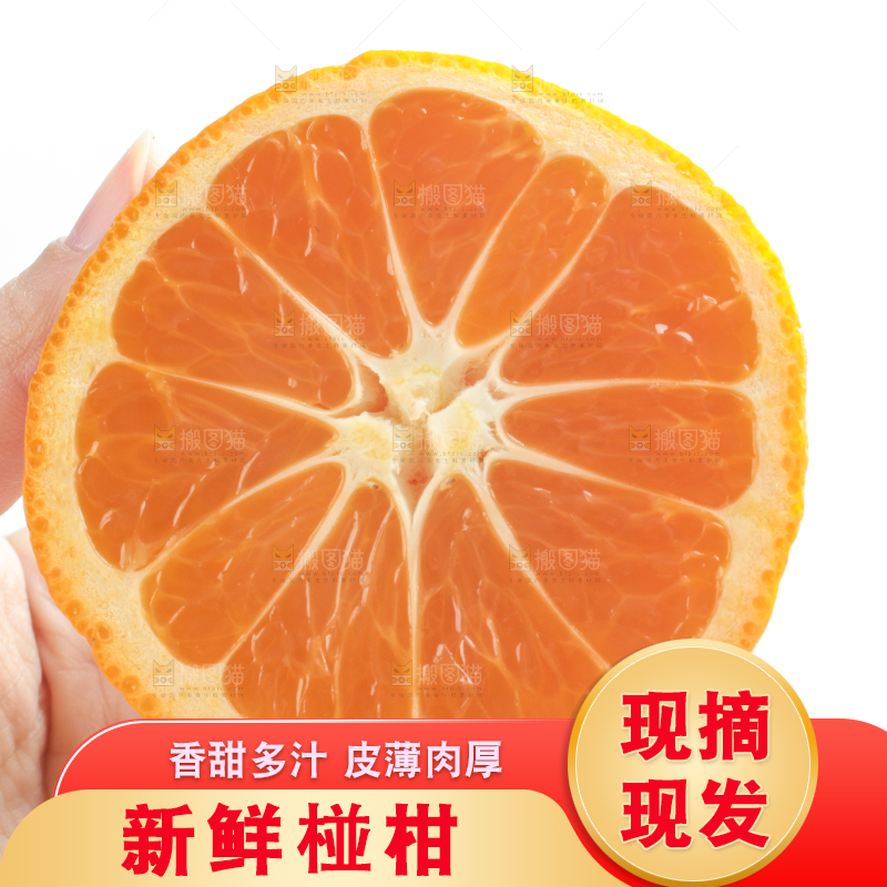 手里拿着新鲜椪柑