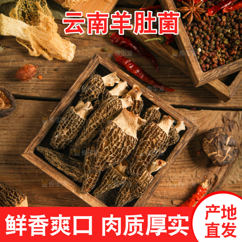 木底上的干羊肚菌