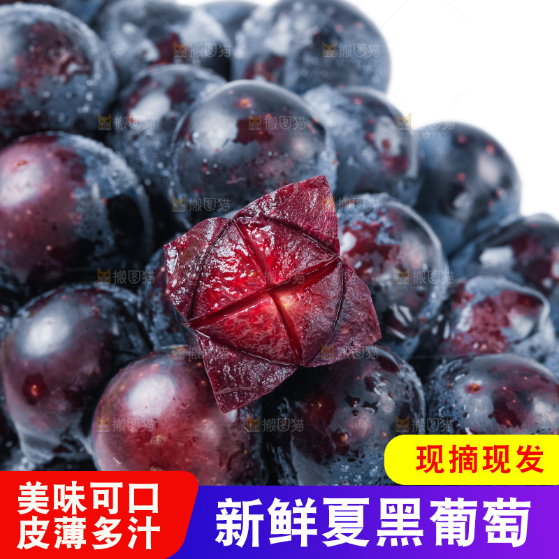白底上的夏黑葡萄