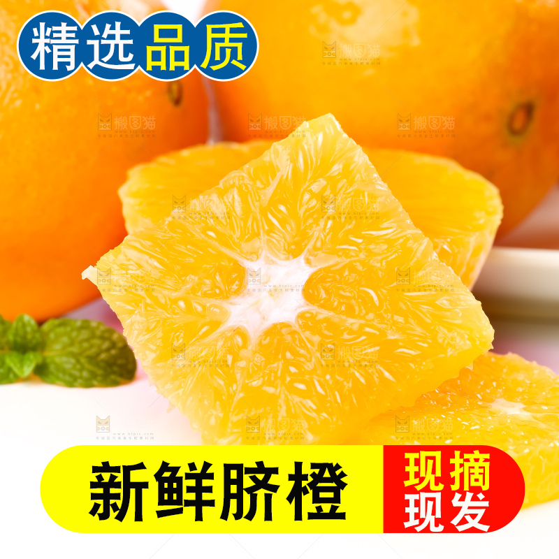 白底上的新鲜橙子