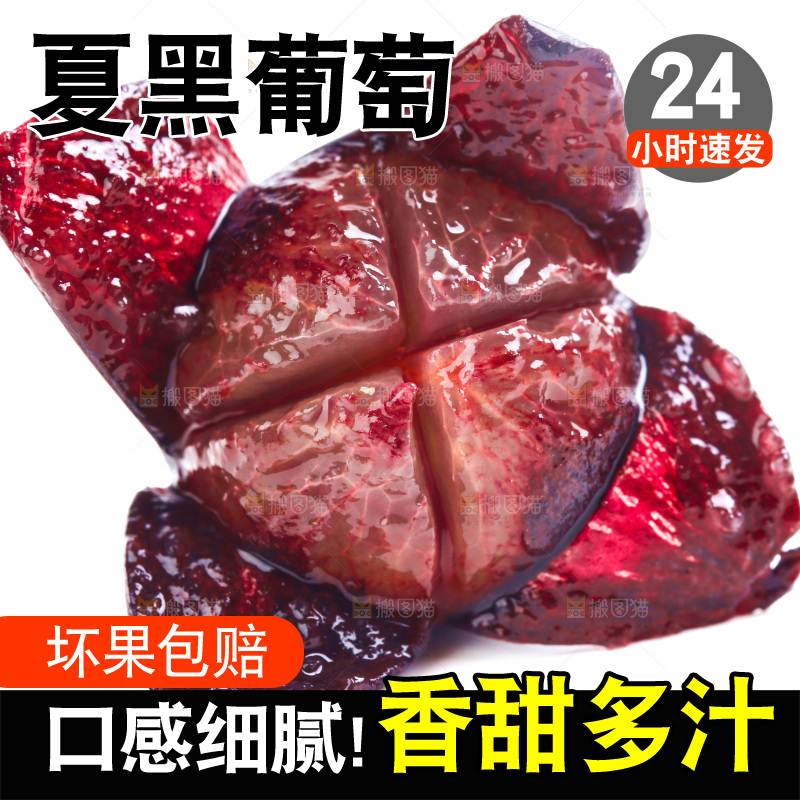 云南夏黑葡萄放在白底上