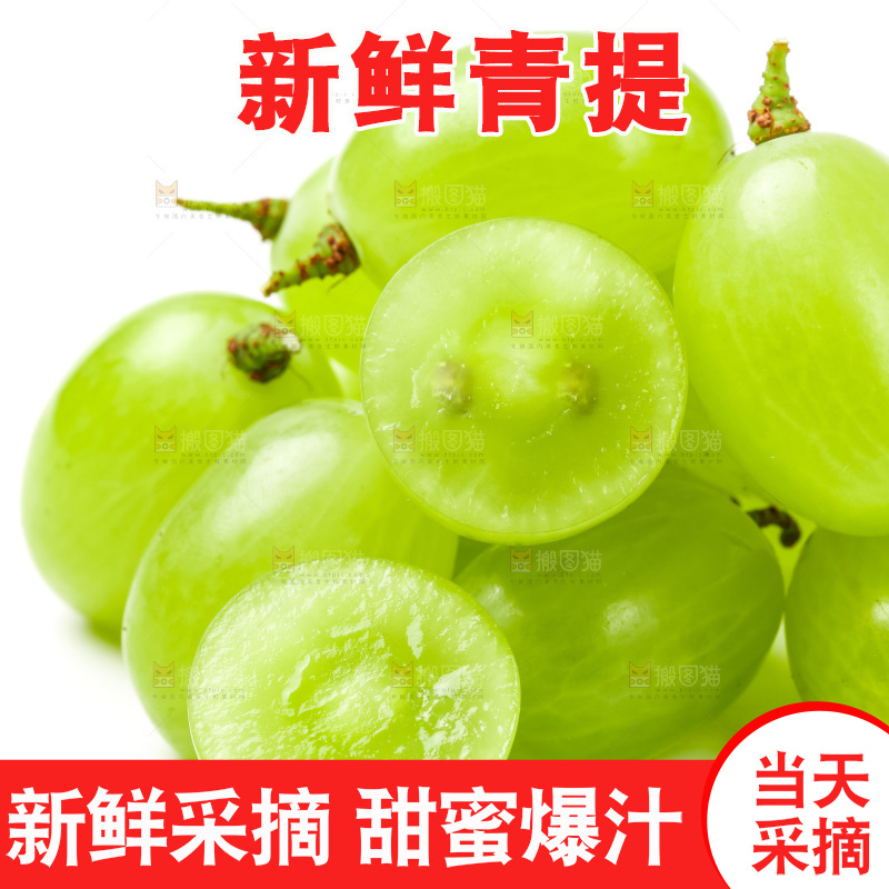 白底上的青提