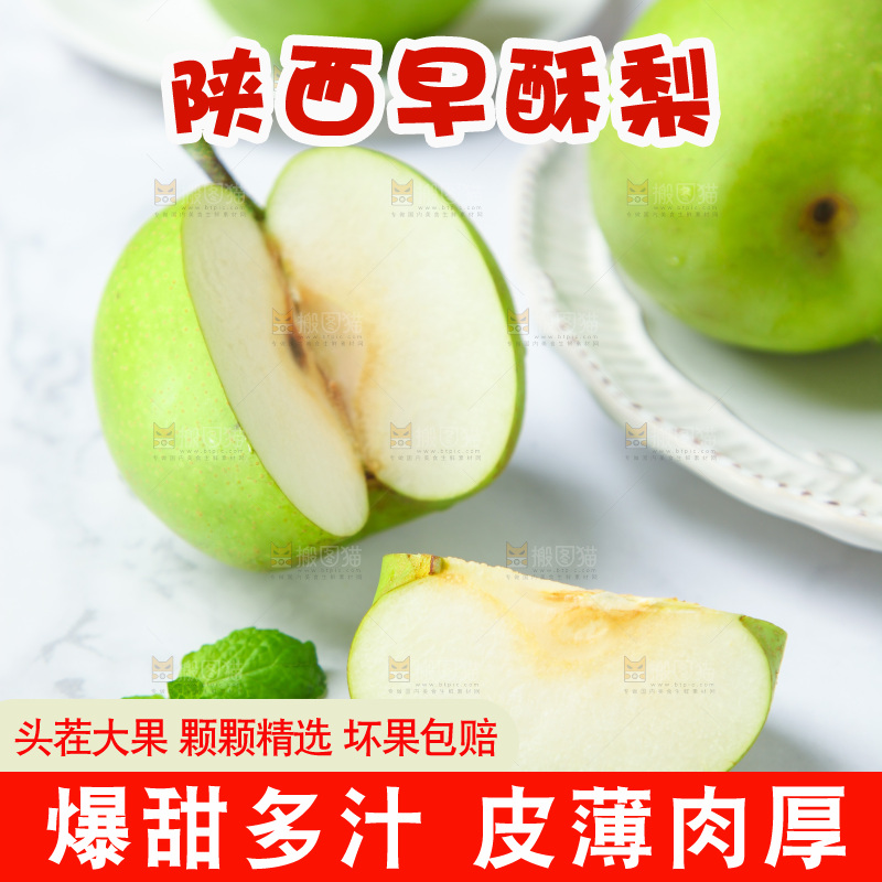 浅底上的早酥梨