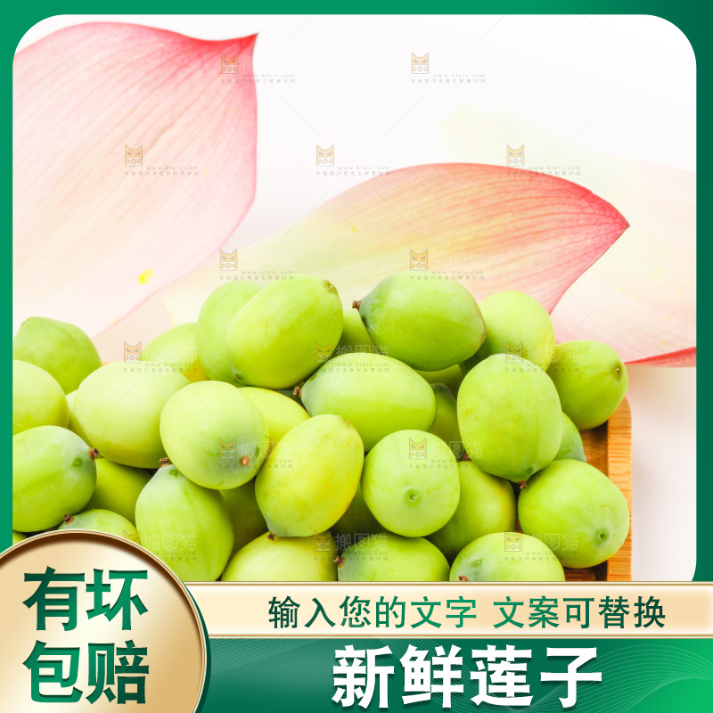 白底上放着嫩莲子
