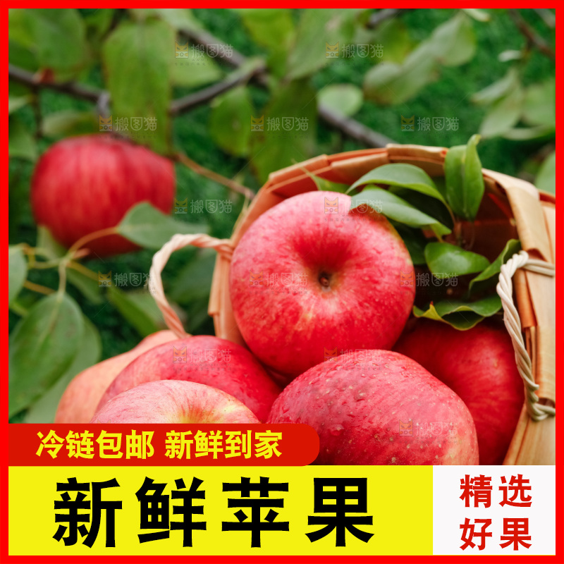 草地上放着冰糖心苹果