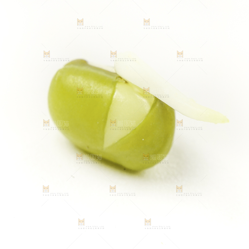 白底上的绿豆芽