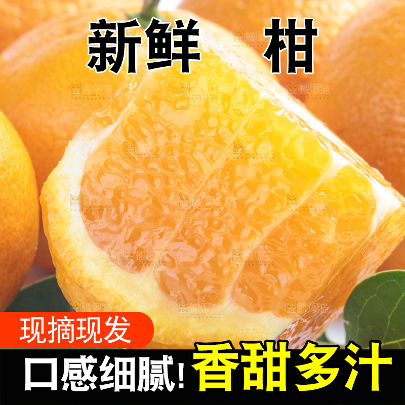 白底上放着四川椪柑