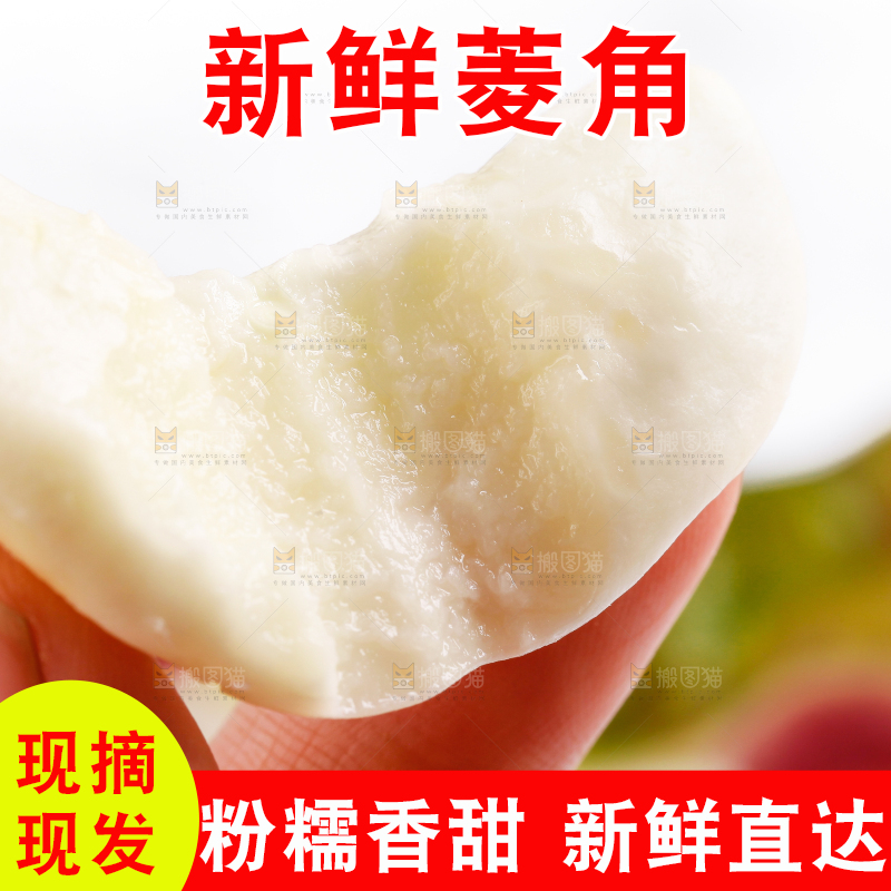 白底上的菱角
